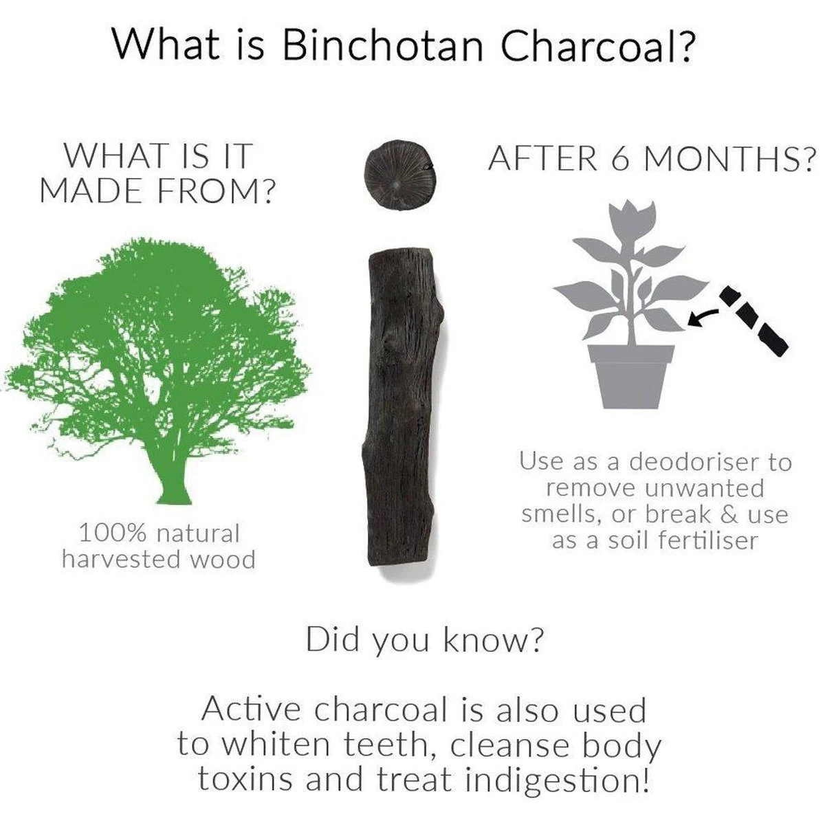 Black + Blum Binchotan Active Charcoal For Eau Good Water Bottles 4-pack 5 Black + Blum Binchotan Active Charcoal For Eau Good Water Bottles 4-pack - Image 5