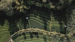 Sola Bestekset Bali - Modern - 9 Persoons - 90 Delig - Zilverwit Edelstaal 18/10 - RVS - Zilver 8 Sola Bestekset Bali - Modern - 9 Persoons - 90 Delig - Zilverwit Edelstaal 18/10 - RVS - Zilver -Beste Keuken Serie Winkel 1200x675