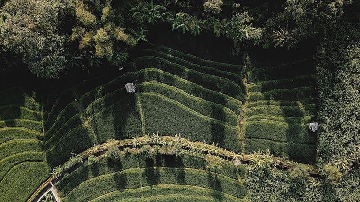 Sola Bestekset Bali - Modern - 9 Persoons - 90 Delig - Zilverwit Edelstaal 18/10 - RVS - Zilver 4 Sola Bestekset Bali - Modern - 9 Persoons - 90 Delig - Zilverwit Edelstaal 18/10 - RVS - Zilver - Image 4