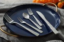 Swiss Pro+ Bestekset In Koffer-72 Delig-12 Persoons-Zwitsers Kwaliteit-Complete Set-100% Roestvrijstaal-Modern 22 Swiss Pro+ Bestekset In Koffer-72 Delig-12 Persoons-Zwitsers Kwaliteit-Complete Set-100% Roestvrijstaal-Modern -Beste Keuken Serie Winkel 1200x799 7