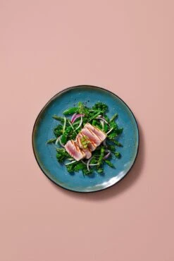 Palmer Serviesset Lotus Stoneware 6-persoons 24-delig Zwart Turquoise -Beste Keuken Serie Winkel 801x1200 3